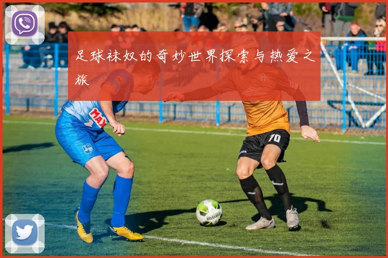 足球袜奴的奇妙世界探索与热爱之旅